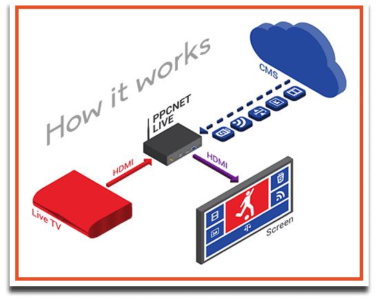 Live Diagram-email-shot