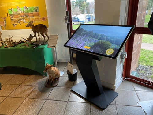 digital signage screens touch screen kiosk