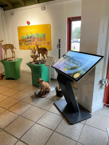 digital signage screens touch screen kiosk