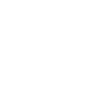 Multiple AV Inputs